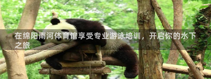 富联娱乐负责人：在绵阳南河体育馆享受专业游泳培训，开