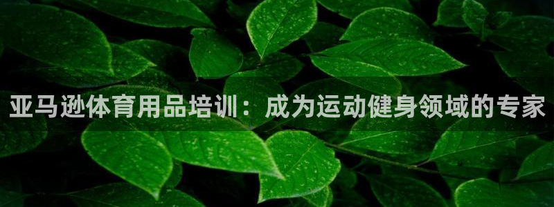富联官方网站下载：亚马逊体育用品培训：成为运动健身领
