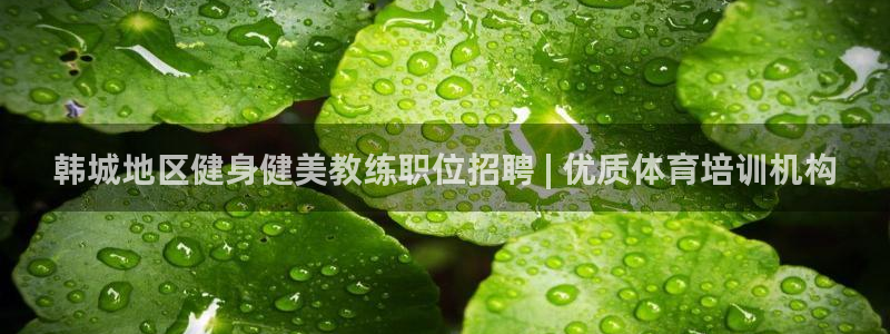 富联娱乐平台开户条件是什么：韩城地区健身健美教练职位