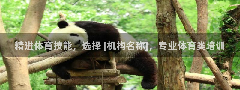 富联娱乐正规吗：精进体育技能，选择 [机构名称]，专