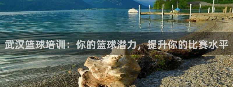 富联官方网站入口网址是多少：武汉篮球培训：你的篮球潜