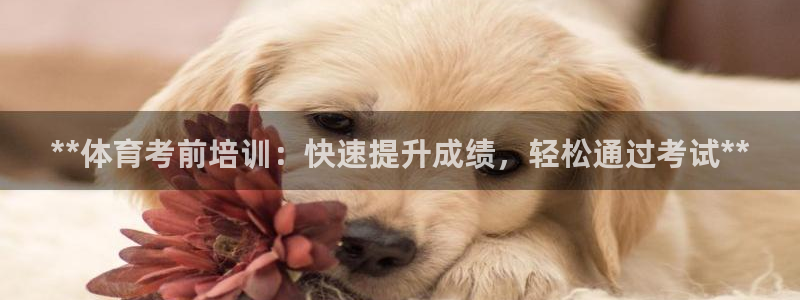 富联官方网站首页登录：**体育考前培训：快速提升成绩