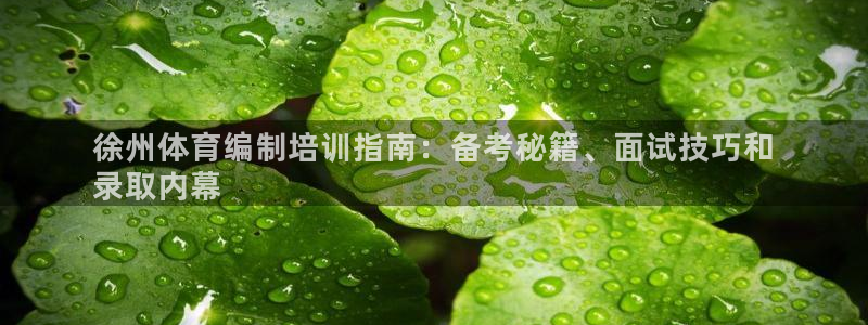 富联娱乐平台怎么样知乎：徐州体育编制培训指南：备考秘