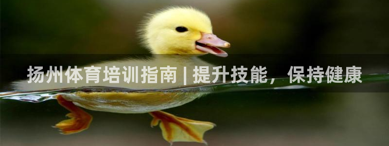 富联娱乐平台开户条件要求