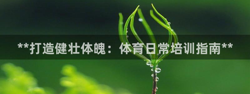 富联官网注册流程视频：**打造健壮体魄：体育日常培训