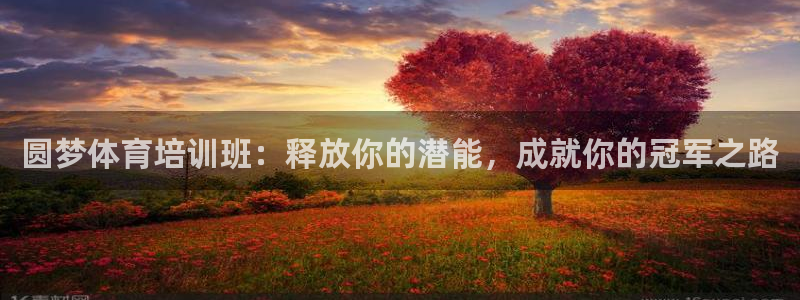 富联娱乐总代理：圆梦体育培训班：释放你的潜能，成就你