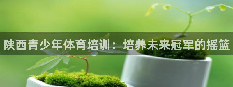 富联娱乐叩 411O31 富联：陕西青少年体育培训：