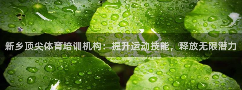 富联地产怎么样知乎：新乡顶尖体育培训机构：提升运动技