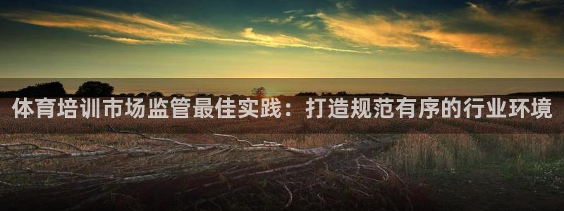富联平台安装流程：体育培训市场监管最佳实践：打造规范