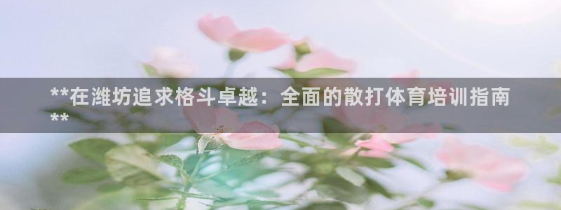 富联申购上市价格预测最新：**在潍坊追求格斗卓越：全