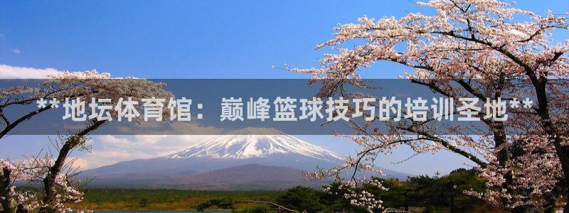 富联申购什么时候开盘：**地坛体育馆：巅峰篮球技巧的