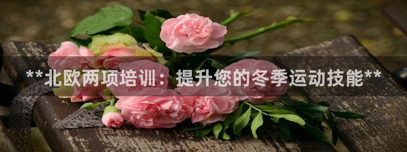 富联申购上市价格预测最新：**北欧两项培训：提升您的