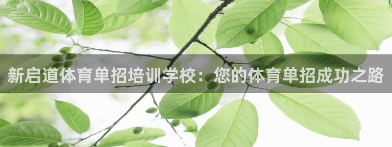 富联平台网站是什么：新启道体育单招培训学校：您的体育