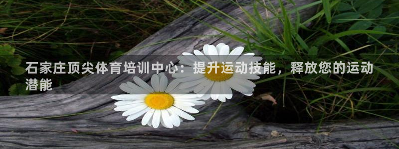 富联商城：石家庄顶尖体育培训中心：提升运动技能，释放