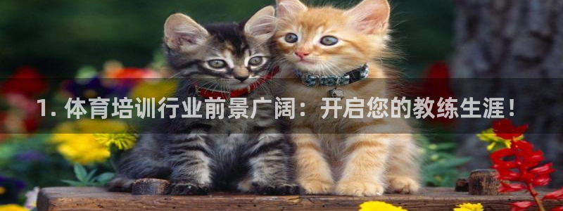 富联平台注册登录不上：1. 体育培训行业前景广阔：开