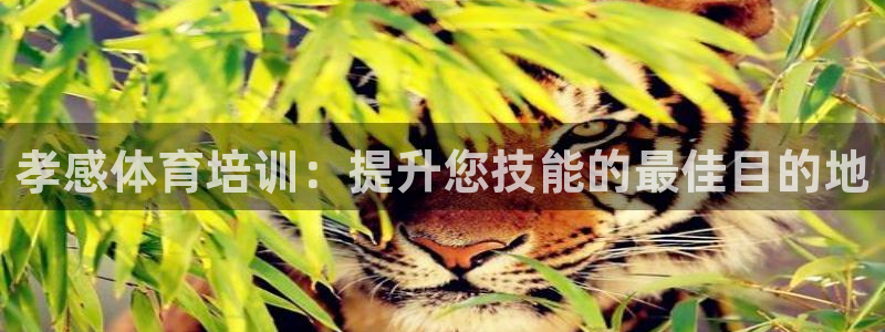 富联娱乐嗯 5O6917 富联：孝感体育培训：提升您
