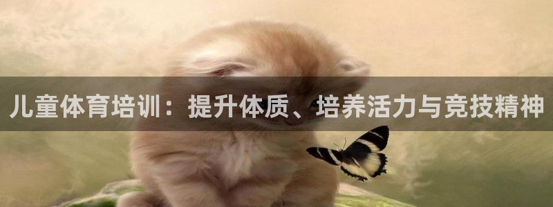 富联官网登录网址：儿童体育培训：提升体质、培养活力与