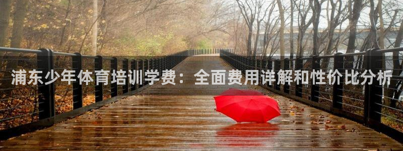 江西富联地产：浦东少年体育培训学费：全面费用详解和性