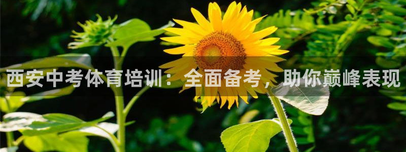 富联平台李 37oo735：西安中考体育培训：全面备