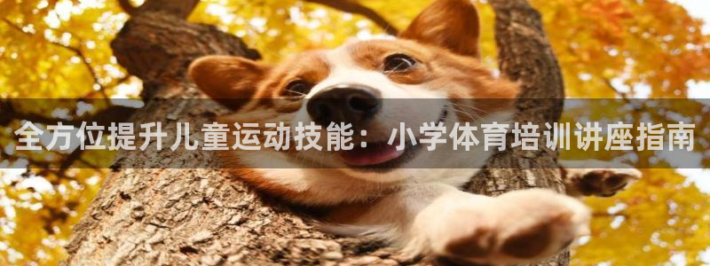 富联科技上市了吗最近