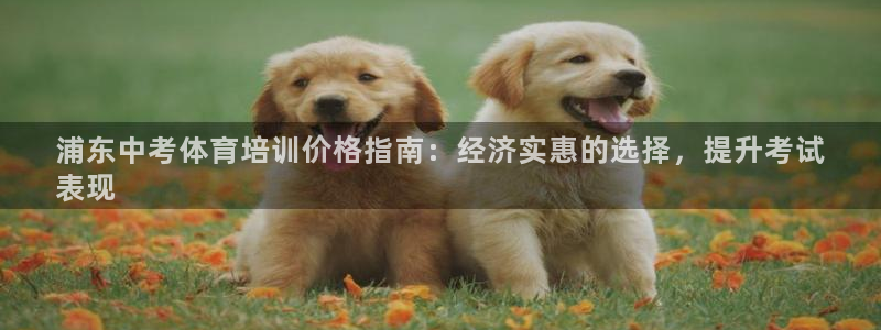 富联是什么软件：浦东中考体育培训价格指南：经济实惠的
