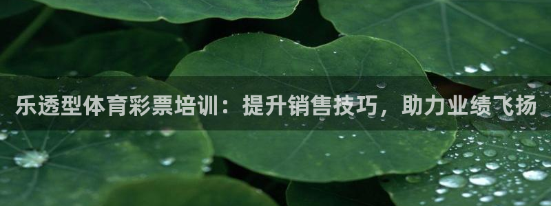 富联娱乐：乐透型体育彩票培训：提升销售技巧，助力业绩