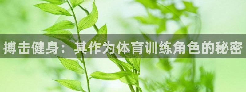富联娱乐是真的吗还是假的：搏击健身：其作为体育训练角