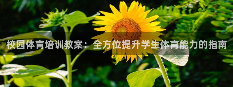 富联娱乐怎么样知乎：校园体育培训教案：全方位提升学生