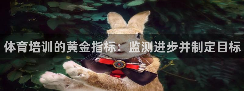 富联食品：体育培训的黄金指标：监测进步并制定目标