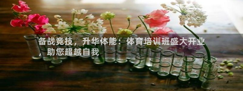 富联娱乐代理怎么做：备战竞技，升华体能：体育培训班盛