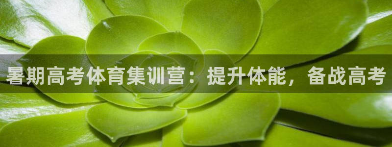 富联是什么板块：暑期高考体育集训营：提升体能，备战高