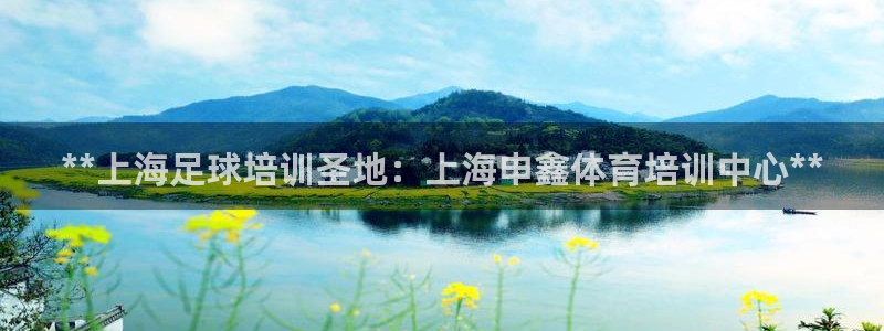 富联官方网站首页入口：**上海足球培训圣地：上海申鑫