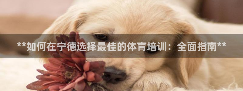 富联娱乐华 5O6917 娱乐：**如何在宁德选择最