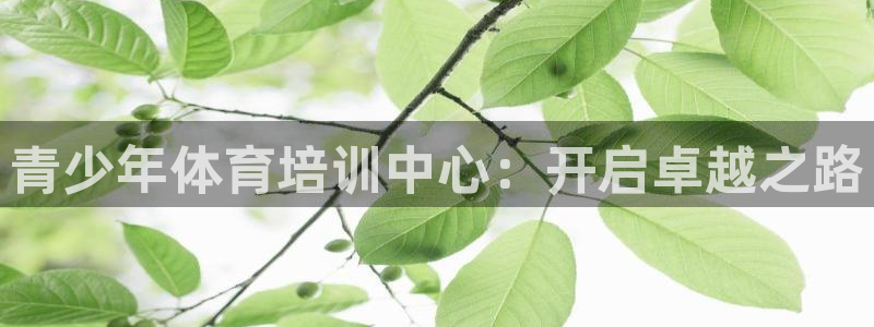 富联股份代码是多少：青少年体育培训中心：开启卓越之路