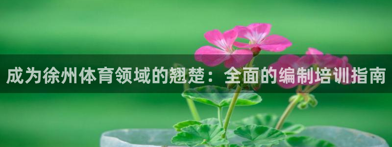 富联娱乐平台怎么样知乎：成为徐州体育领域的翘楚：全面