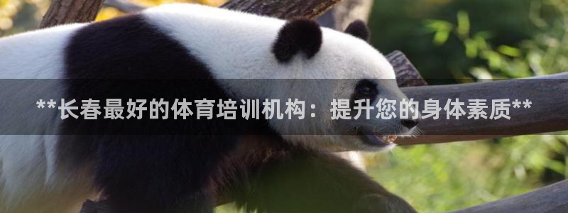 富联平台荐 585341：**长春最好的体育培训机构