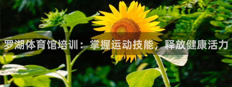 富联娱乐卜6.7.5.1.3.8：罗湖体育馆培训：掌