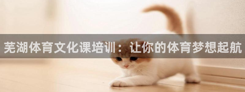 富联娱乐：芜湖体育文化课培训：让你的体育梦想起航