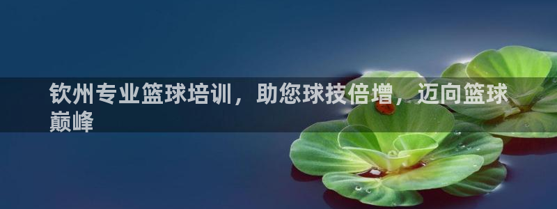 富联公寓：钦州专业篮球培训，助您球技倍增，迈向篮球
