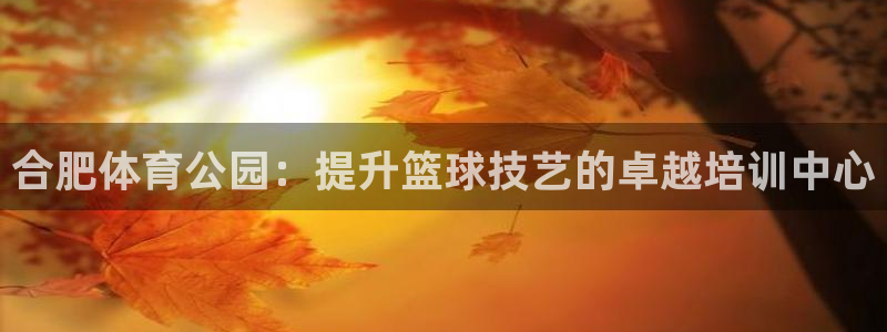 富联平台用户登陆不了：合肥体育公园：提升篮球技艺的卓