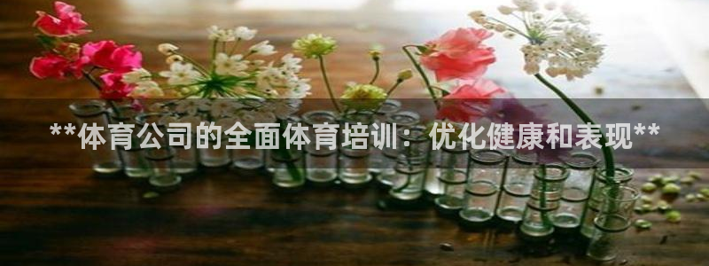 富联娱乐价7O777：**体育公司的全面体育培训：优