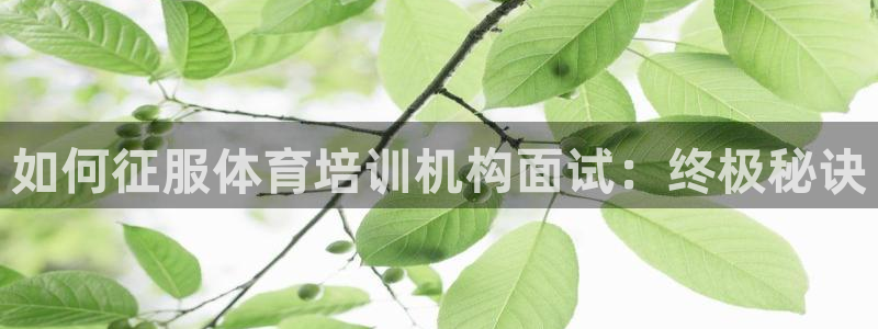 富联平台用户登陆不上：如何征服体育培训机构面试：终极