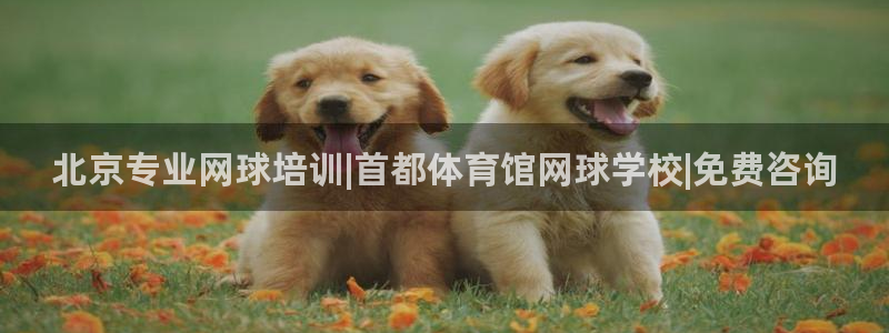 富联娱乐测速地址查询：北京专业网球培训|首都体育馆网