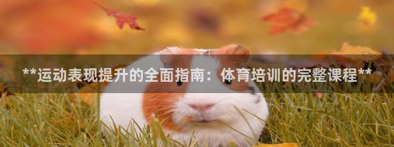 富联平台保7O777：**运动表现提升的全面指南：体