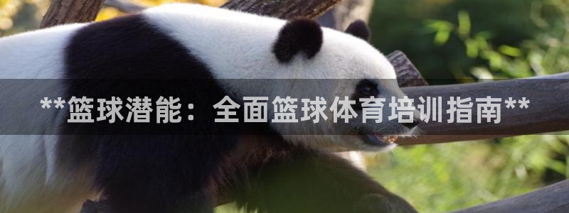 富联通讯简介：**篮球潜能：全面篮球体育培训指南**