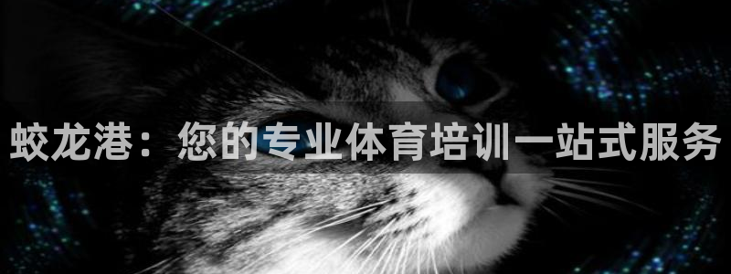 富联娱乐平台是什么：蛟龙港：您的专业体育培训一站式服